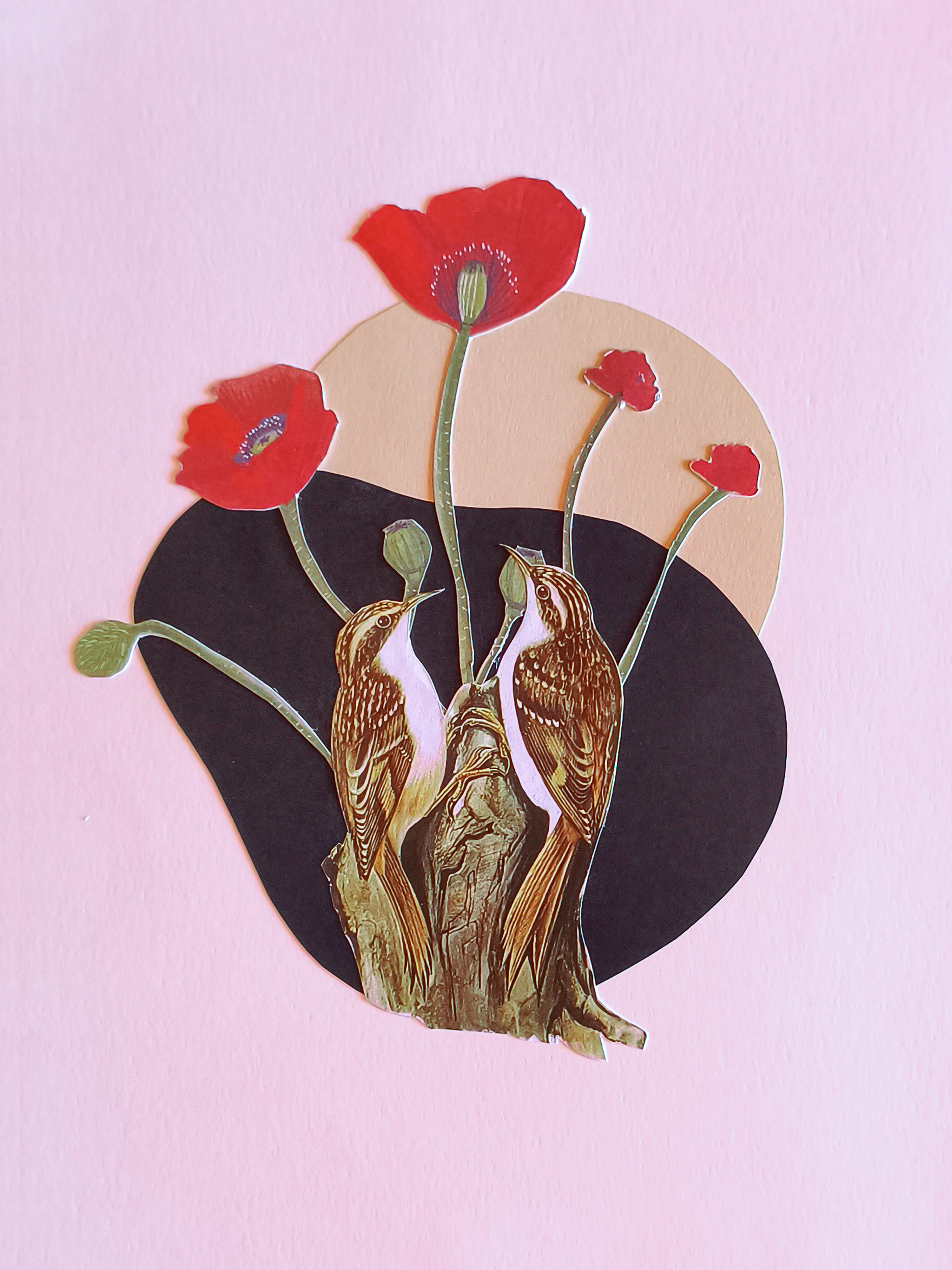 Analog Collage